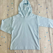 Load image into Gallery viewer, BASIC Pink or Blue Children's Hoodie